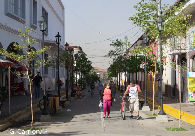 TOLVANERAS